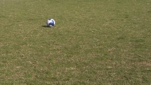 pelota_generico