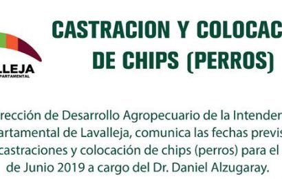 18.05.2019 Castración y Colocación de Chips a Perros en Solís de Mataojo