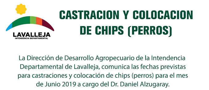 18.05.2019 Castración y Colocación de Chips a Perros en Solís de Mataojo