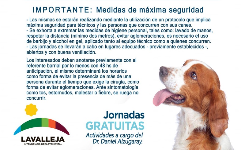 24.11.2020 Jornada de castración de canes en Solís de Mataojo