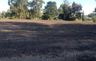 25.05.2023 Avanzan las obras en la cancha del C.A. Solís de Mataojo.