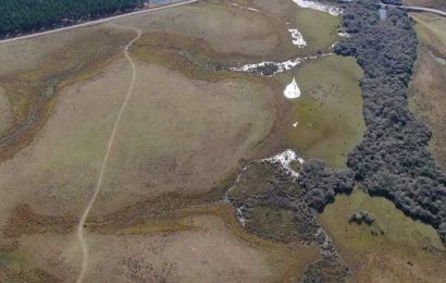 INC Adquiere Terreno en Paysandú y Planea Expansión para Recría Ganadera