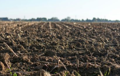 El difícil ajedrez de la próxima siembra para los productores en Uruguay El difícil ajedrez de la próxima siembra para los productores en Uruguay
