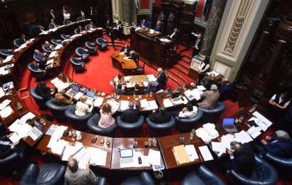 Senadores del FA dieron "máximo respaldo" al ministro del Interior y señalan que la seguridad no debe ser "un botín electoral"