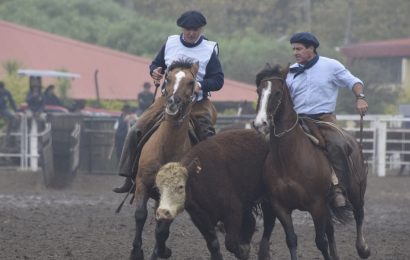 Todo listo para que en la Rural del Prado arranque el "Mundial de Caballos Criollos"