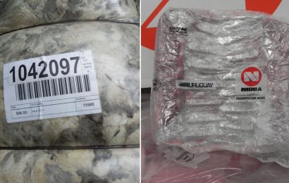 Fuerte crecimiento de ingresos por exportaciones de lana, subproductos laneros y carne ovina