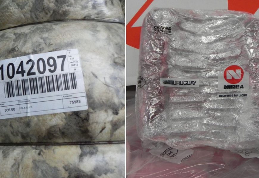 Fuerte crecimiento de ingresos por exportaciones de lana, subproductos laneros y carne ovina